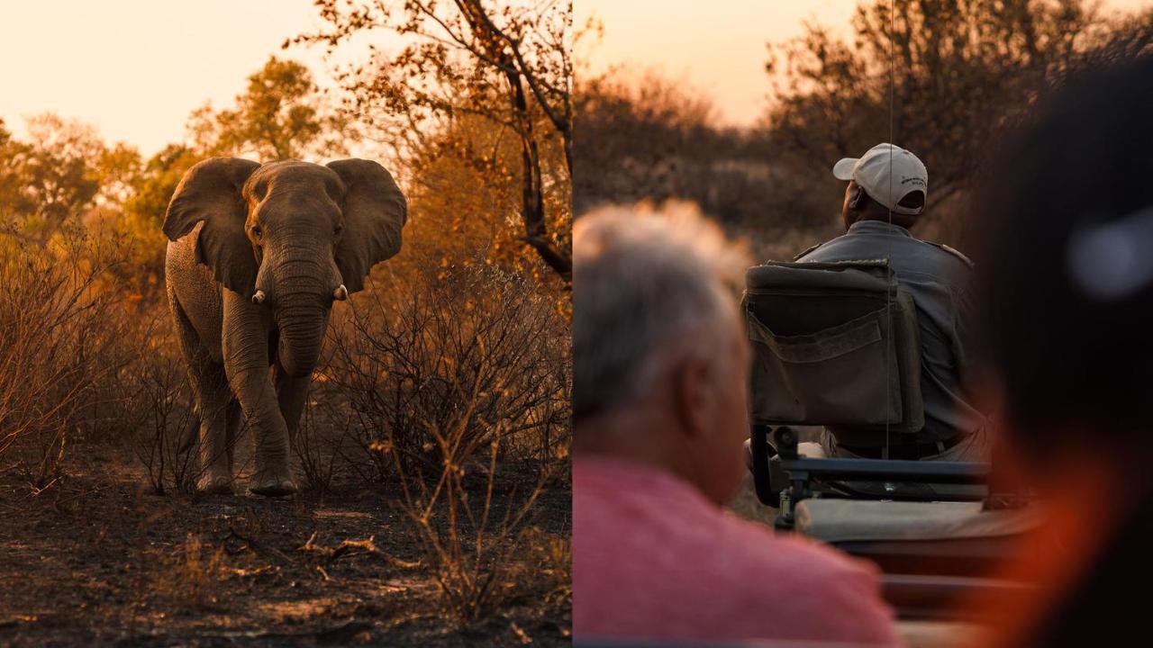 Geiger'S Camp In Timbavati Game Reserve By Newmark Экстерьер фото